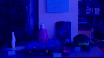 DSC07516