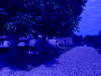IMG 9675