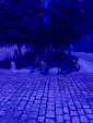 IMG 9678